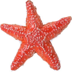 Samlingsfigur Søstjerne, Papo