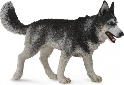 Collecta sibirisk husky – figur