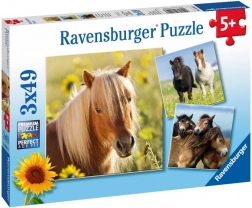 Ravensburger puslespil søde heste 3×49 brikker