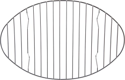 Rustfri rist til bradepande 32,5 × 21 cm ORION