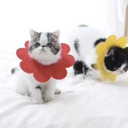 Blød postoperativ beskyttelseskrave til kæledyr, rød – størrelse L