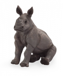 Mojo næsehorn unge siddende