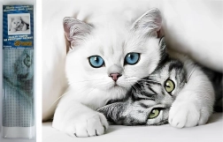 Diamantmaling Kattehemmelighed 30 × 40 cm Norimpex