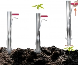 Manuel løg- og plante-sætter i rustfrit stål