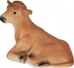 Mojo Animal Planet Jersey ko Jersey, liggende