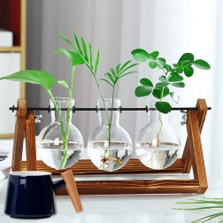 Hydroponisk glasvase