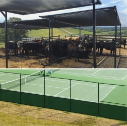 Afskærmnings- og privat hegnsnet 1,5 × 25 m, grønt, 60 g/m²