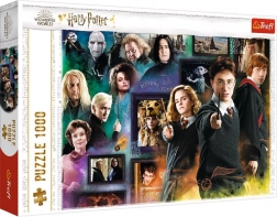 Puslespil HARRY POTTER 1000 brikker – den magiske verden