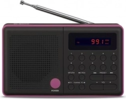 Radio Pliszka USB FM sort