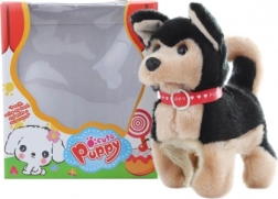 Gående sort hundehvalp på batteri