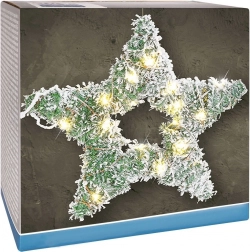 Lysende stjerne med LED, 58 cm, snedækket fyr