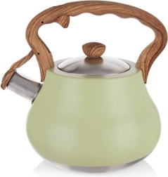 Fløjtende kedel i rustfrit stål GREENISH 3 l