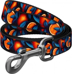 Nylon hundesnor med motivet Appelsiner 122 cm Waudog