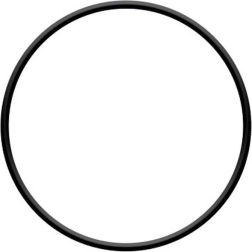O-ring til filterhoved til ProStar 4 og ProStar 6