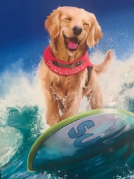 Sæt til diamantmaleri 5D 30 × 30 cm – mosaik med sten