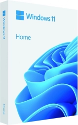 Windows 11 Home 64-bit USB-flashdrev