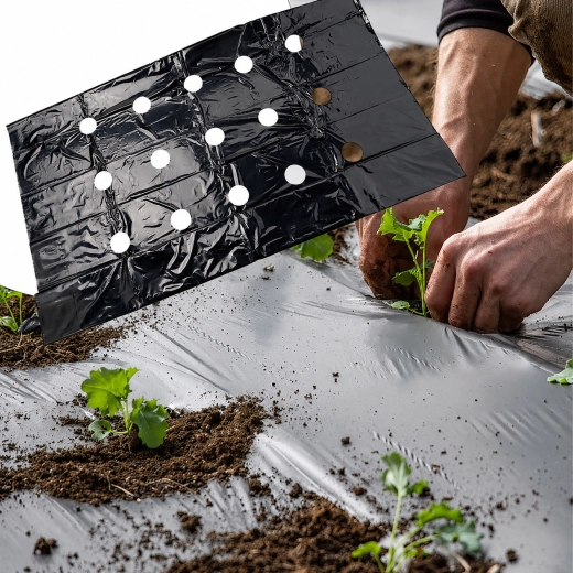 Forudforberedte plantehuller
