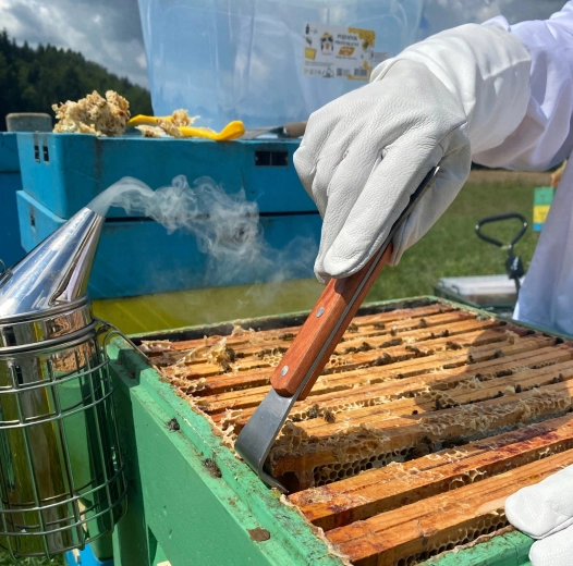 Holdbart blad i rustfrit stål