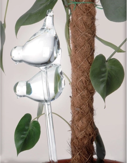 Nem installation i enhver urtepotte