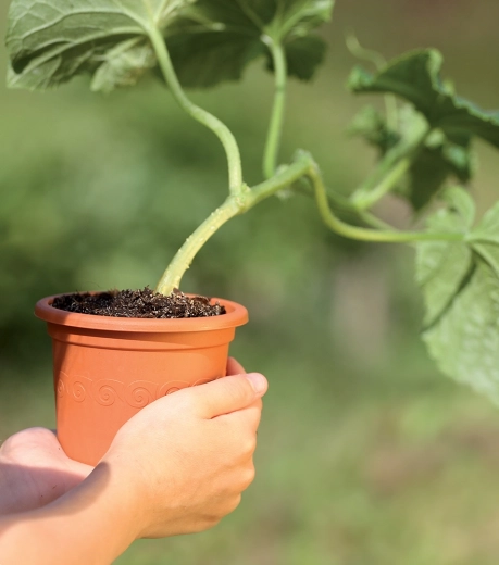 Let og holdbart materiale