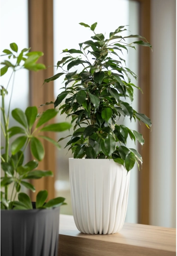 Let, holdbar og klar til udendørs brug