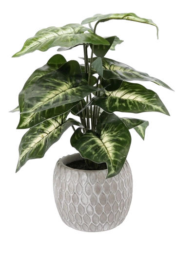 Vedligeholdelsesfri helårsdekoration