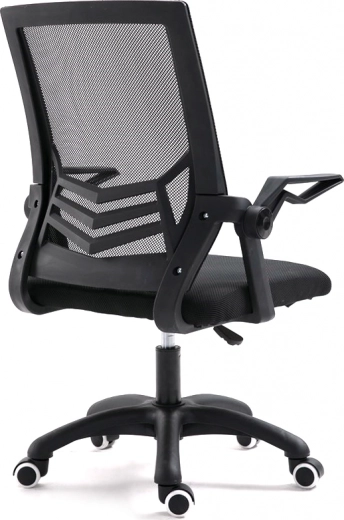 Ergonomisk rygstøtte