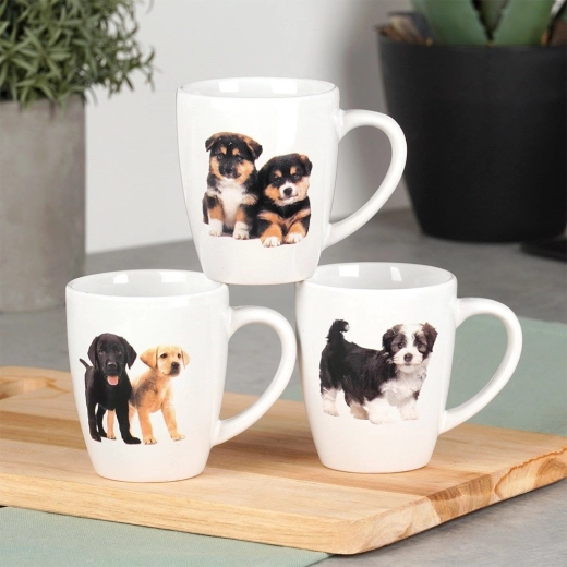 Bekymringsfri vedligeholdelse: opvaskemaskine og mikroovn