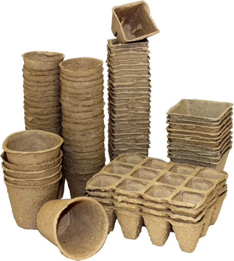 Optimale forhold for kimplanter