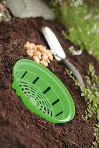 Let opgravning og omplantning