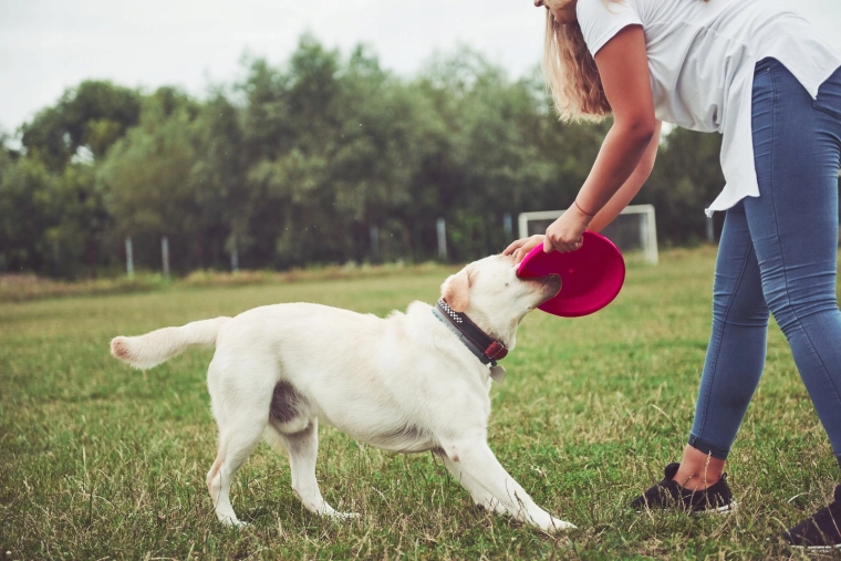 Høj synlighed i parken og i luften