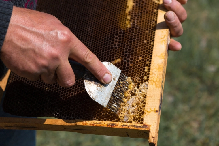 Præcise spidser i rustfrit stål til ren affkogning