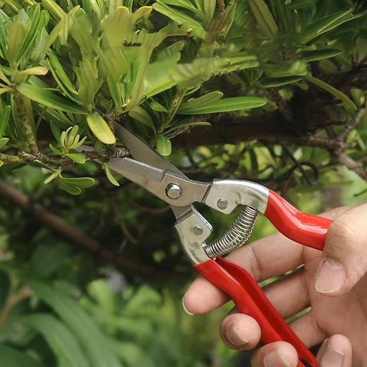 Fjeder-mekanisme for let klipning