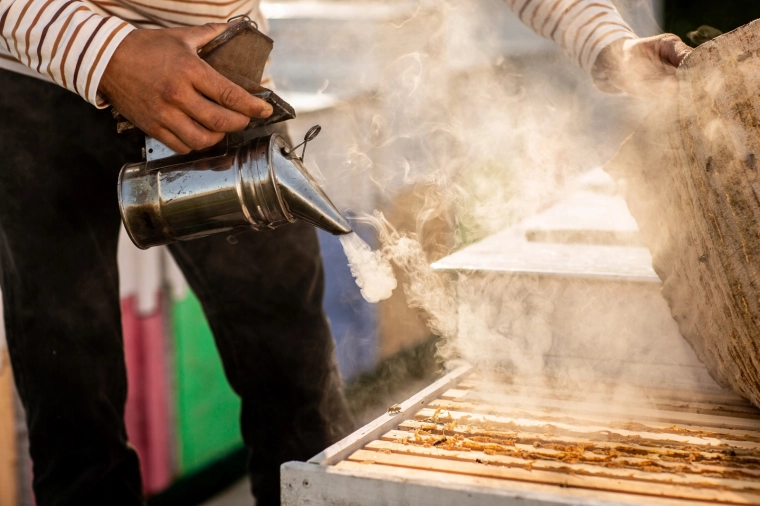 Præcis beroligelse af bier ved stadeinspektion