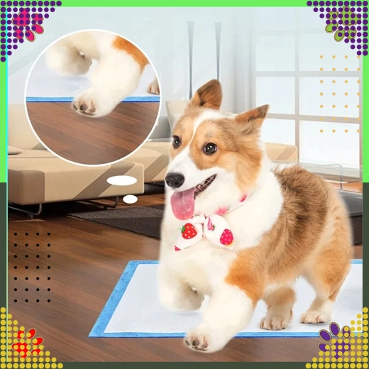 Stort format for komfort og tryghed