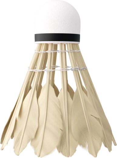 Stabil og hurtig flyvning takket være andefjer