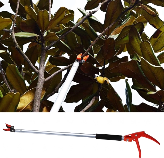 Nem beskæring i højden uden stige