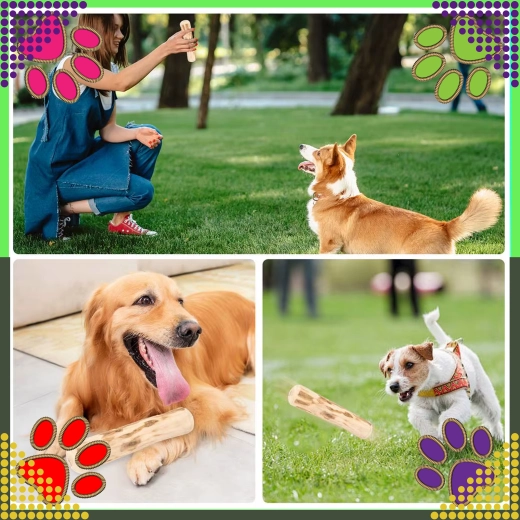 Sjov til både tygning og apport