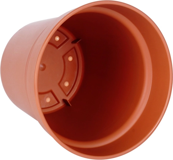 Gennemtænkt form for sunde planter