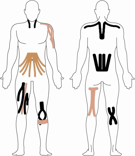Universal anvendelse til hele kroppen