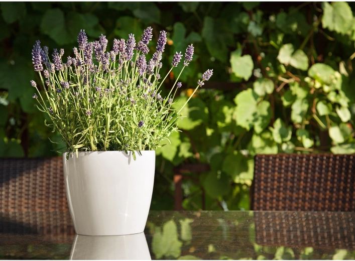 Velegnet til både inde og ude