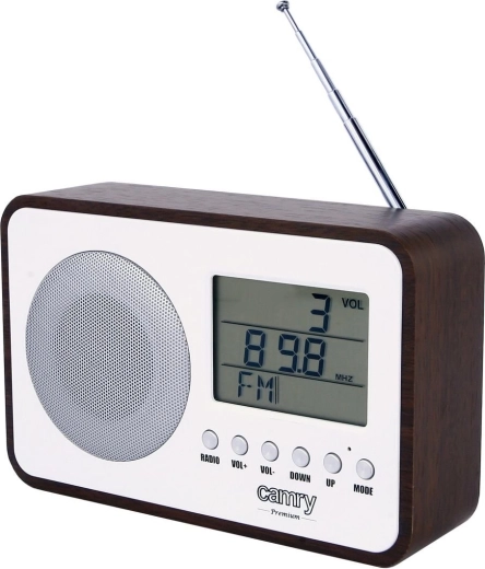 Digital radio Camry CR1153