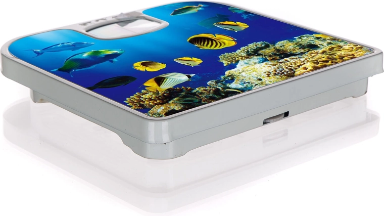 Stilfuldt undervandsdekor