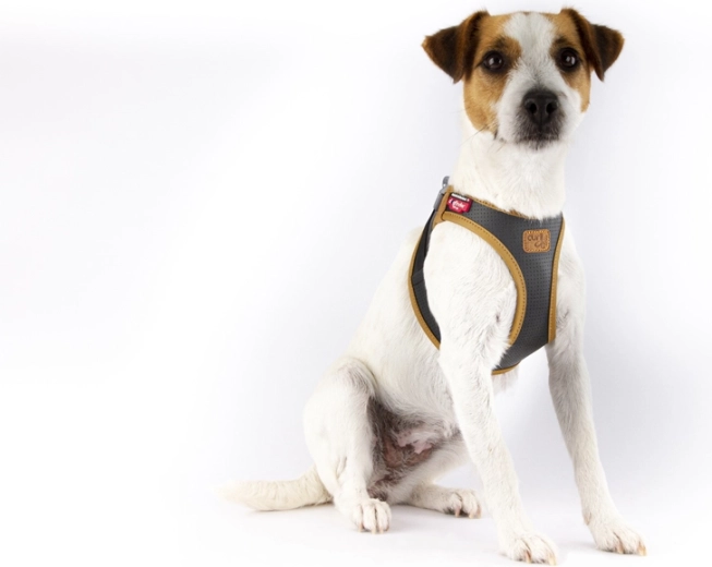 Comfort Fit ergonomi og sikker kraftfordeling