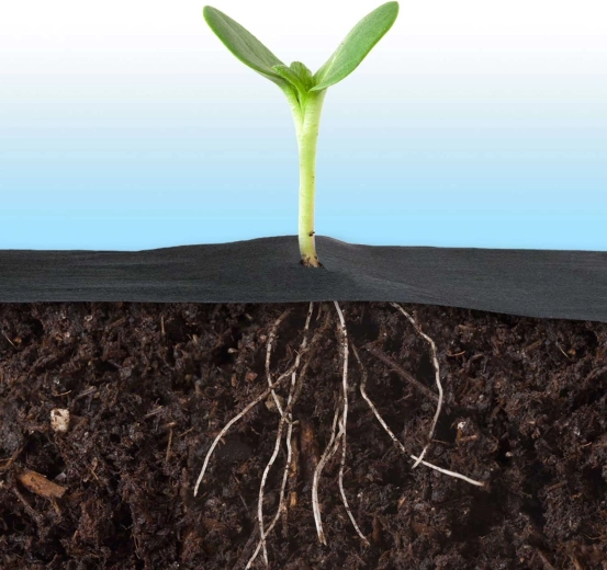 Åndbar og vandgennemtrængelig for sunde rødder