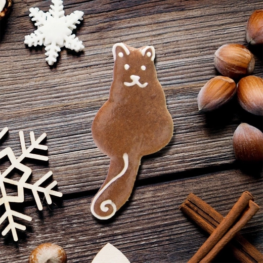 Kreativ pynt til højtider og hele året