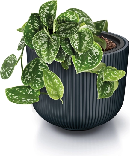 Praktisk indsats for sundere vækst