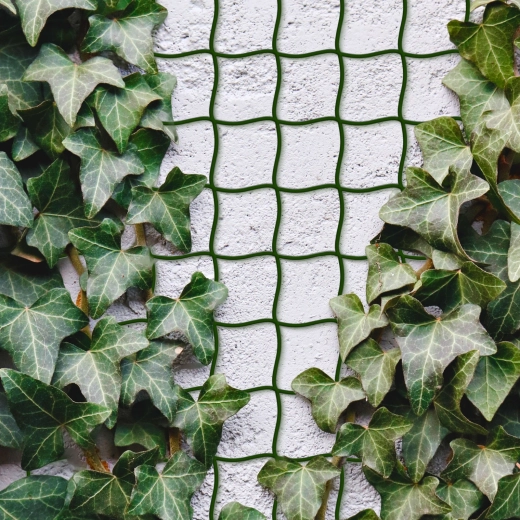 Net til klatreplanter 5 m x 50 cm, kan klippes, mørkegrøn