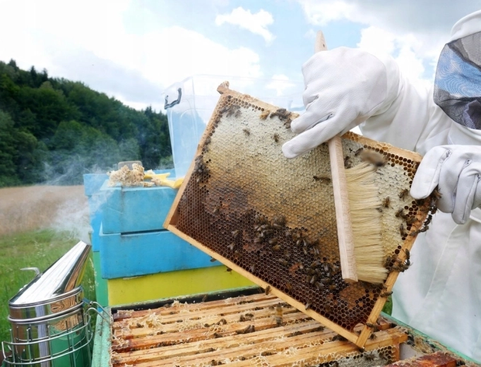 Skånsom aftørring af bier uden stress