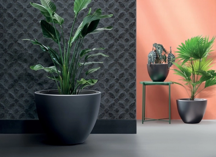 Moderne, minimalistisk look